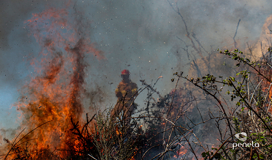 Ações de fogo controlado realizadas em Penela