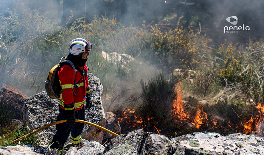 Ações de fogo controlado realizadas em Penela