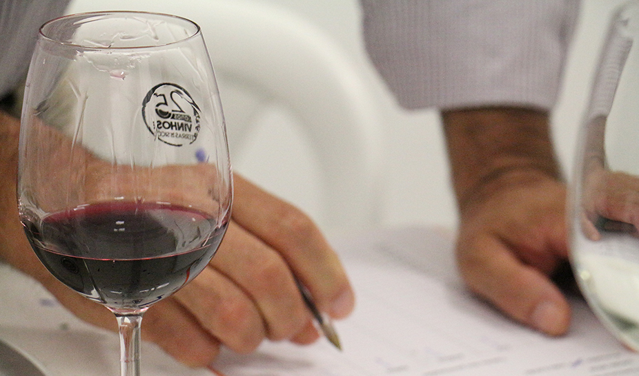 Vinhos do Produtor distinguidos na XI Vinália 