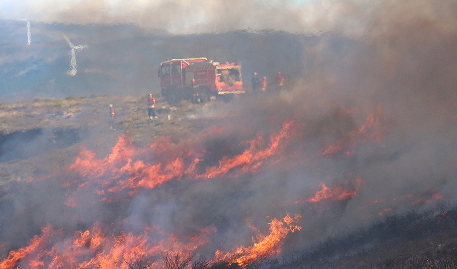 Ação de Fogo Controlado ajuda a prevenir incêndios florestais