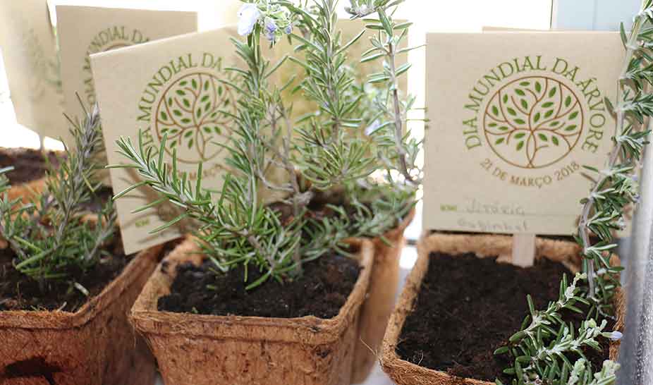 Penela assinalou Dia Mundial da Árvore, da Água e da Poesia