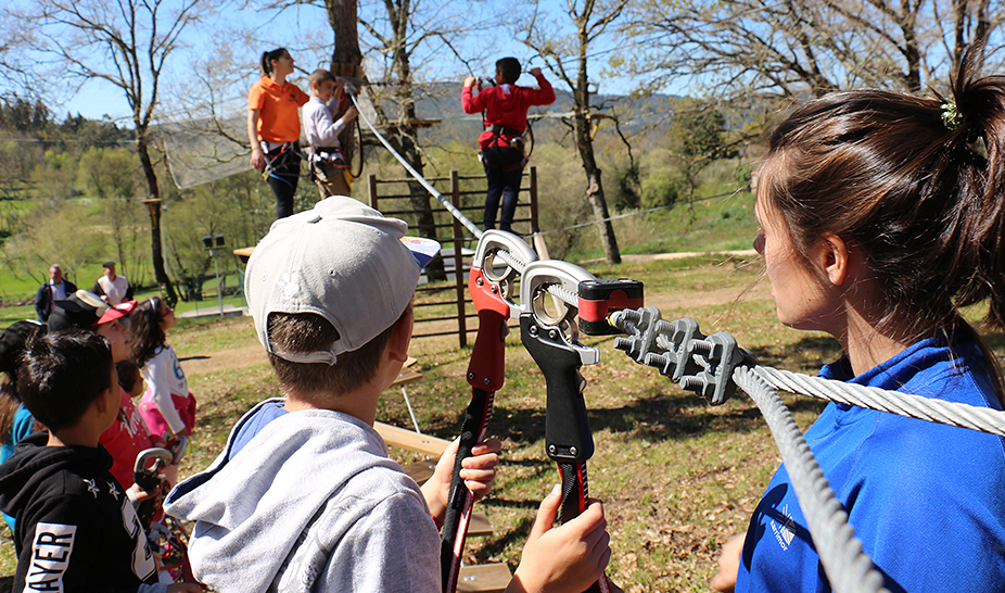 Dia Mundial da Árvore, da Água e da Poesia