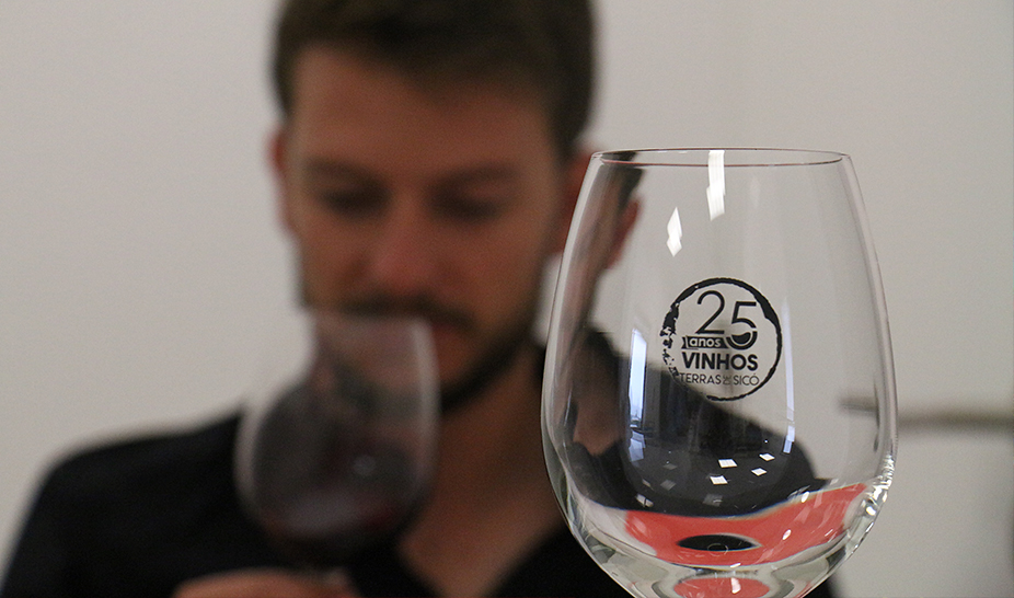 Vinhos do Produtor distinguidos na XI Vinália 