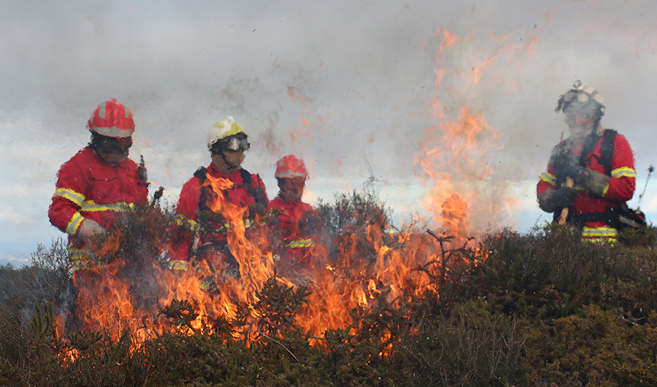 Ação de Fogo Controlado ajuda a prevenir incêndios florestais