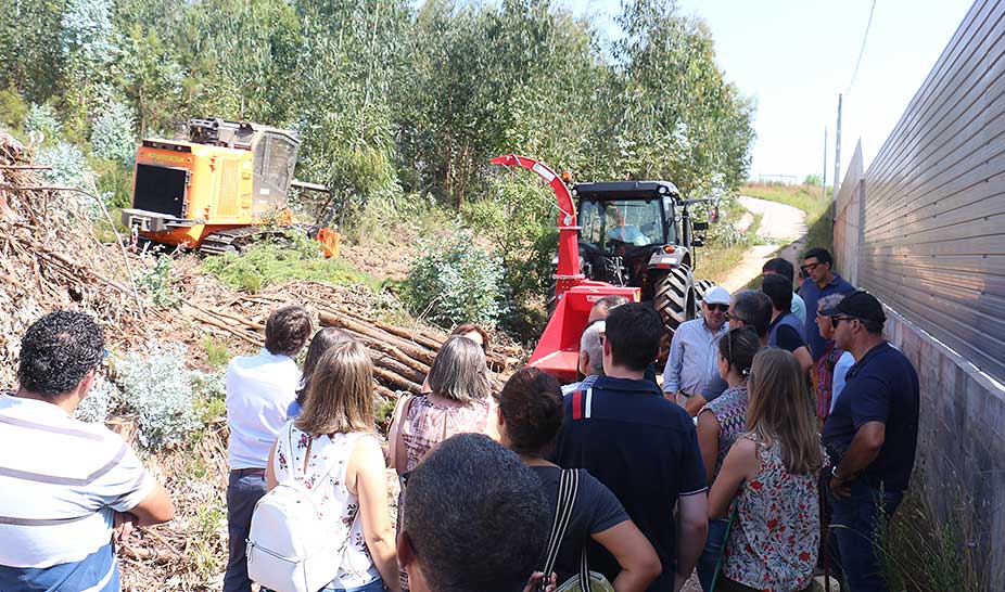 Seminário Florestal - “A Economia Circular na Valorização da Floresta”