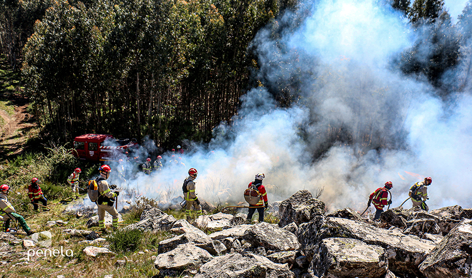 Ações de fogo controlado realizadas em Penela