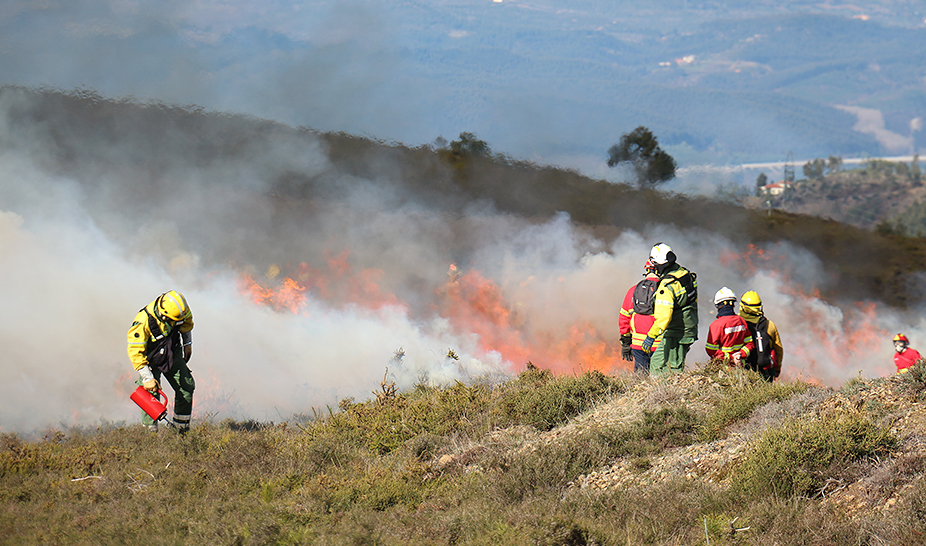 Ação de Fogo Controlado ajuda a prevenir incêndios florestais