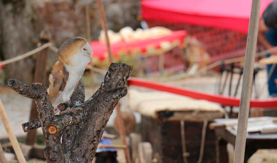 Saltimbancos e mercadores invadiram o castelo de Penela