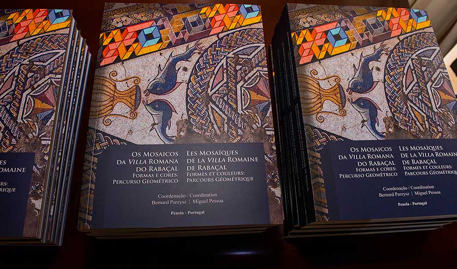 Novo livro de Miguel Pessoa aborda as formas e cores dos Mosaicos da VRR