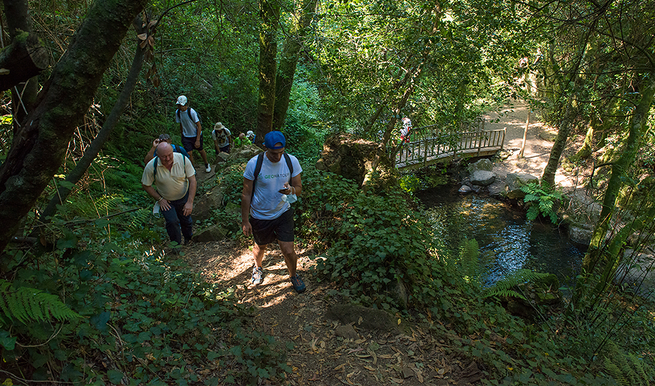 Inauguração do Percurso Pedestre - Pedra da Ferida à Louçainha
