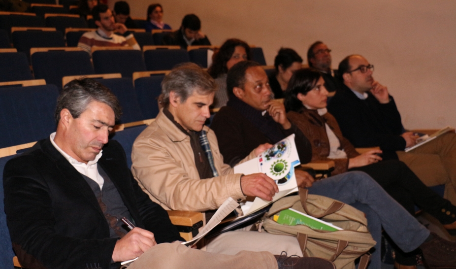 Emprego verde abre mais oportunidades aos jovens