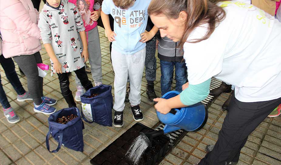 “Semente para o Futuro” as MicroMaternidades de Árvores Autóctones