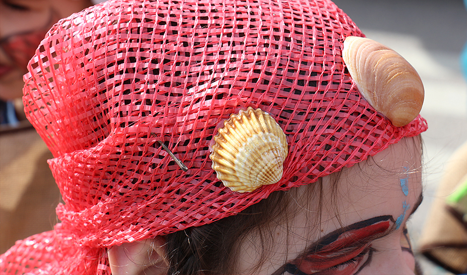 Desfile de Carnaval infantil enche ruas de Penela