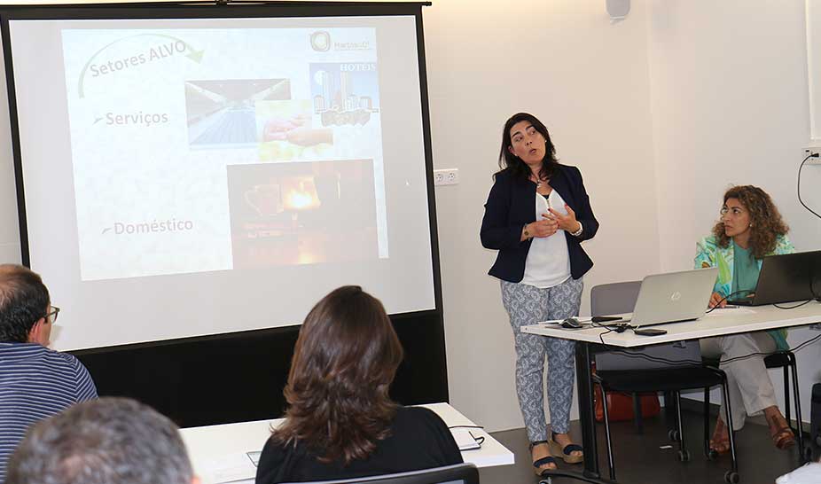 Terceiro atelier de criatividade e mentoring no HIESE dedicado às Florestas