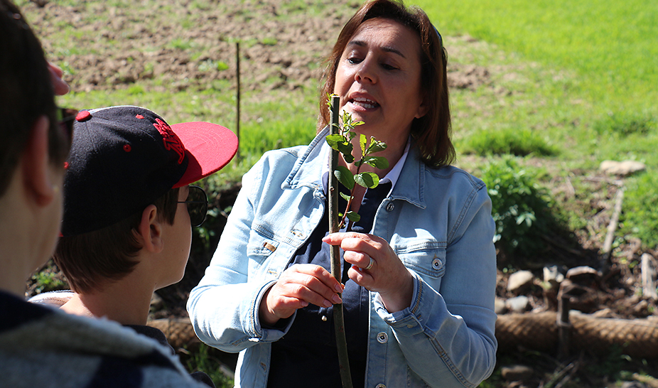 Dia Mundial da Árvore, da Água e da Poesia