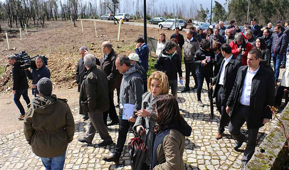 Membros do Governo visitaram Penela em ações de sensibilização de limpeza da floresta
