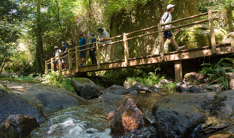 Inauguração do Percurso Pedestre - Pedra da Ferida à Louçainha