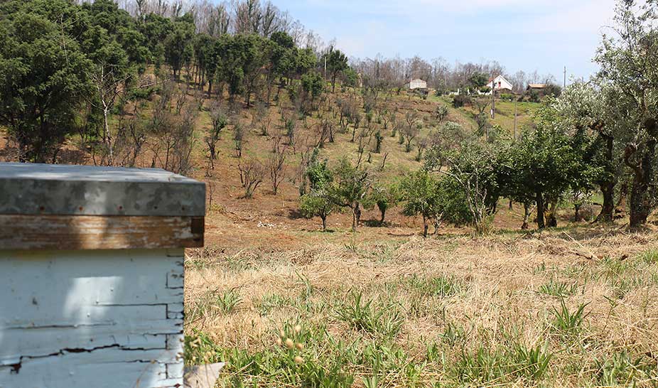 Penela está a concluir os trabalhos de 