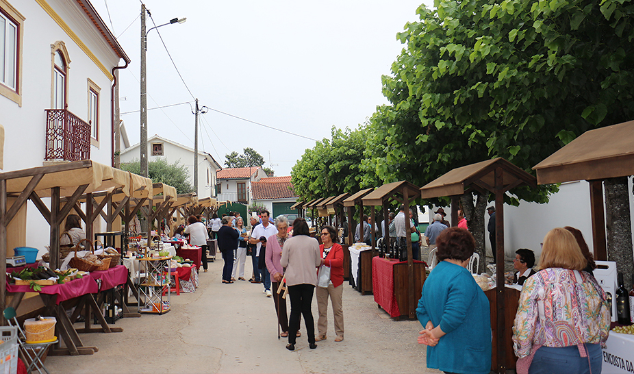 Vinhos do Produtor distinguidos na XI Vinália 
