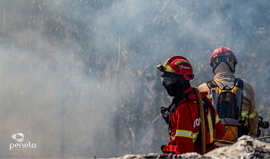 Ações de fogo controlado realizadas em Penela