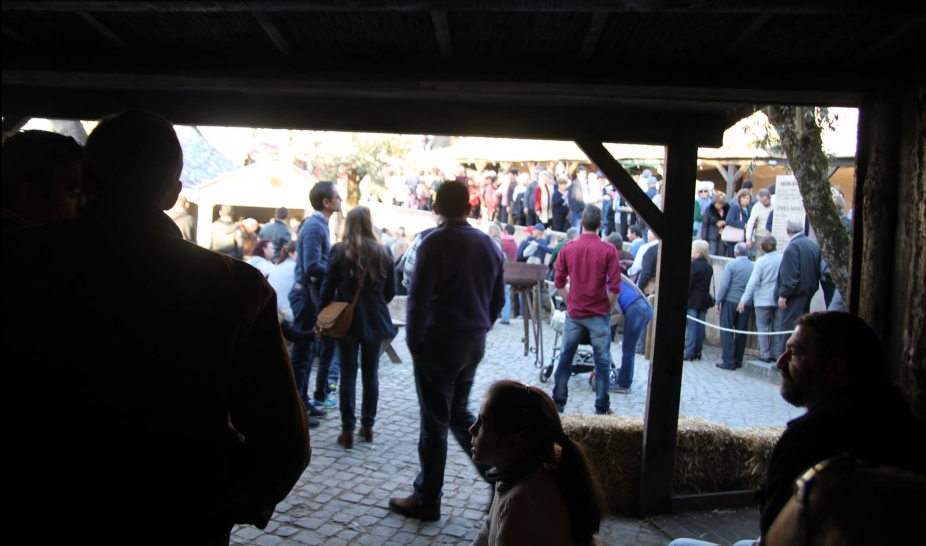 Penela Presépio registou o maior número de visitantes este fim-de-semana