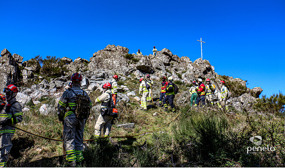 Ações de fogo controlado realizadas em Penela