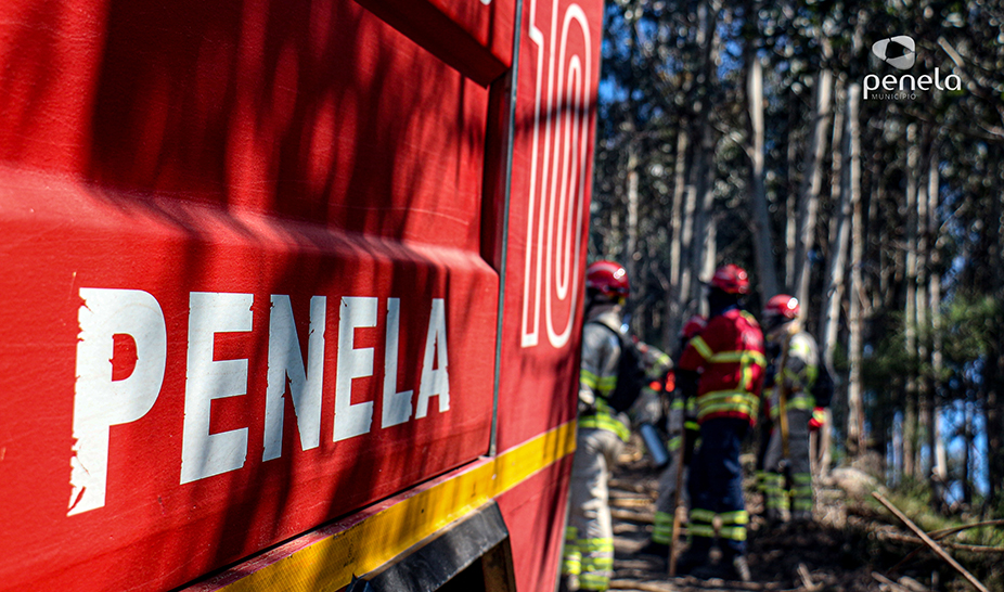 Ações de fogo controlado realizadas em Penela