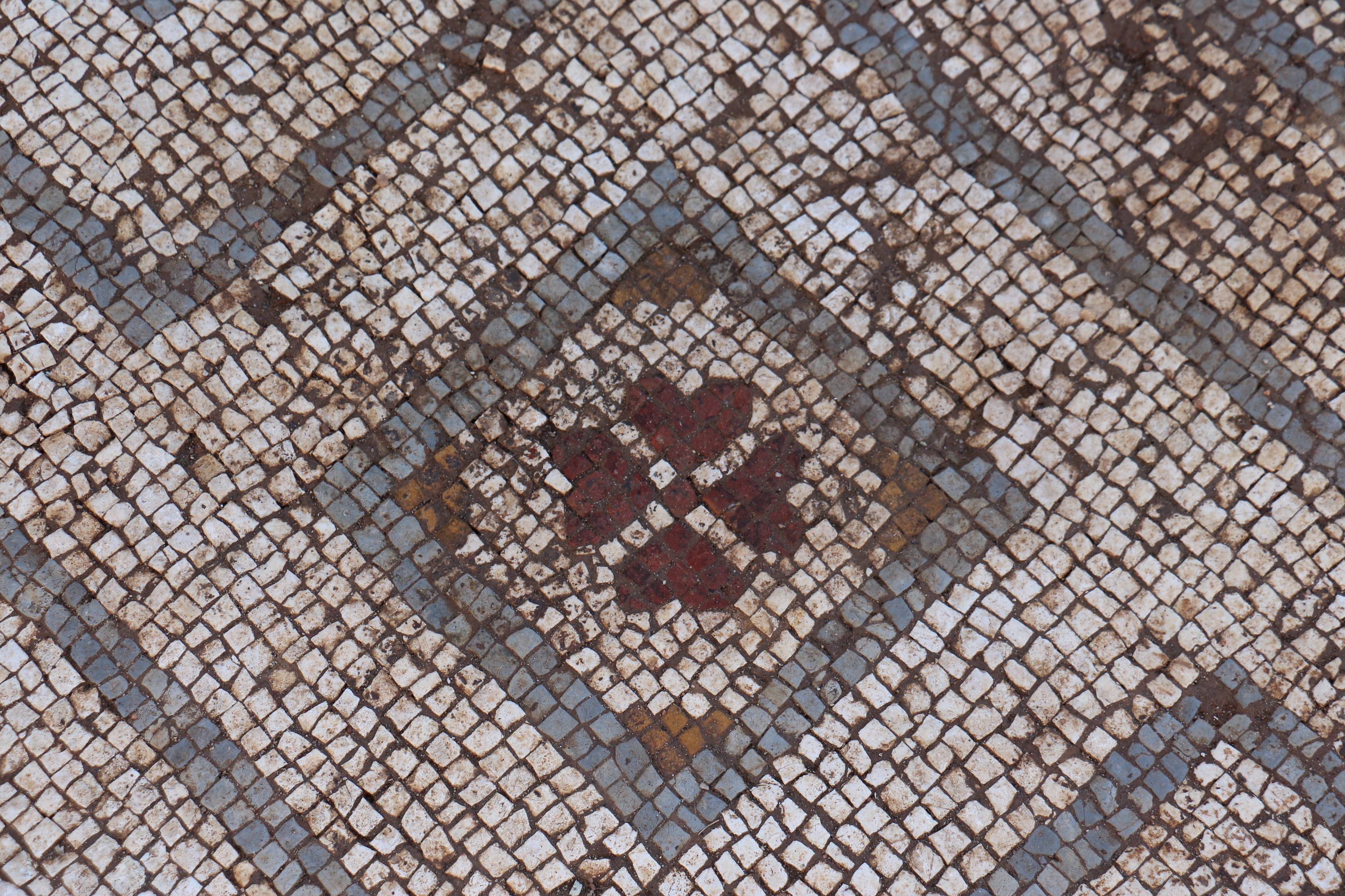 Villa romana de São Simão - Conclusão da Campanha Arqueológica de 2020