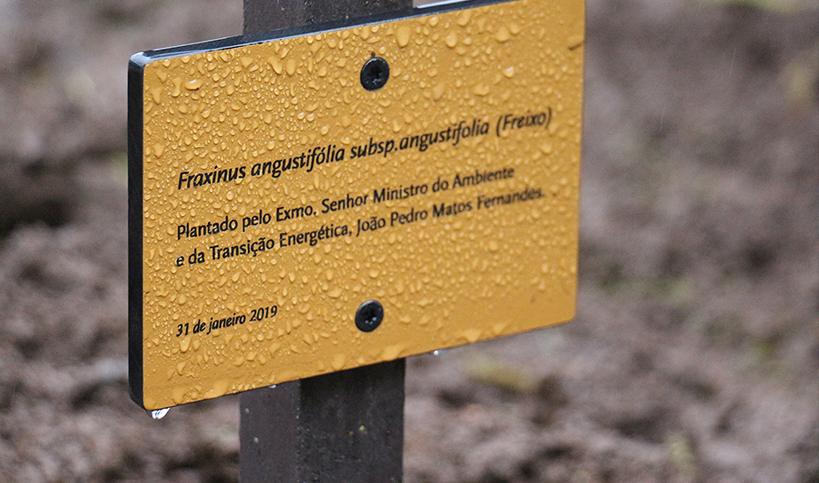 Projeto Rios inaugurado com a presença do ministro do ambiente