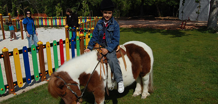 Casa da Criança visitou Centro Hípico de Miranda