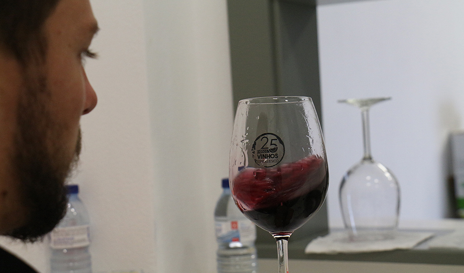 Vinhos do Produtor distinguidos na XI Vinália 