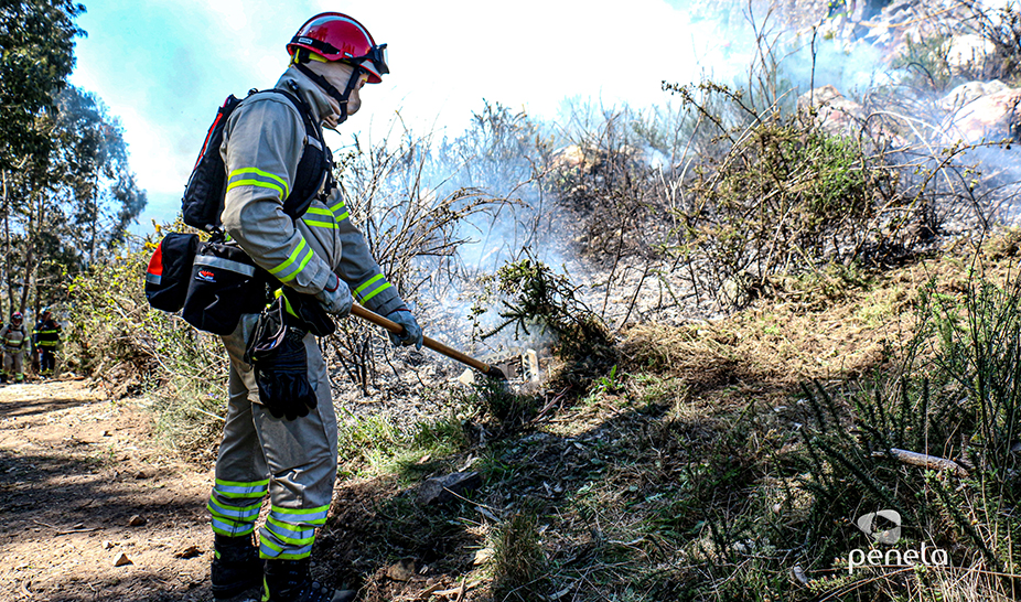 Ações de fogo controlado realizadas em Penela