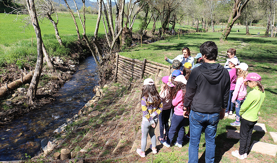 Dia Mundial da Árvore, da Água e da Poesia