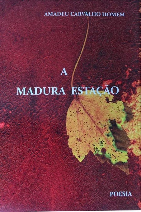 Seminário do CEHLR e Apresentação do livro de poesia