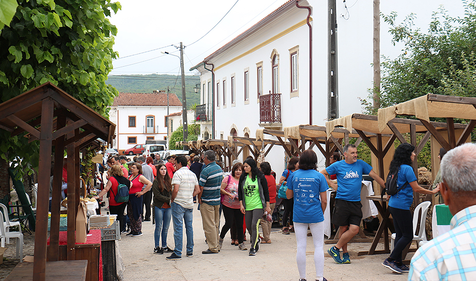 Vinhos do Produtor distinguidos na XI Vinália 