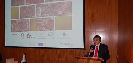 Presidente da Câmara de Coimbra