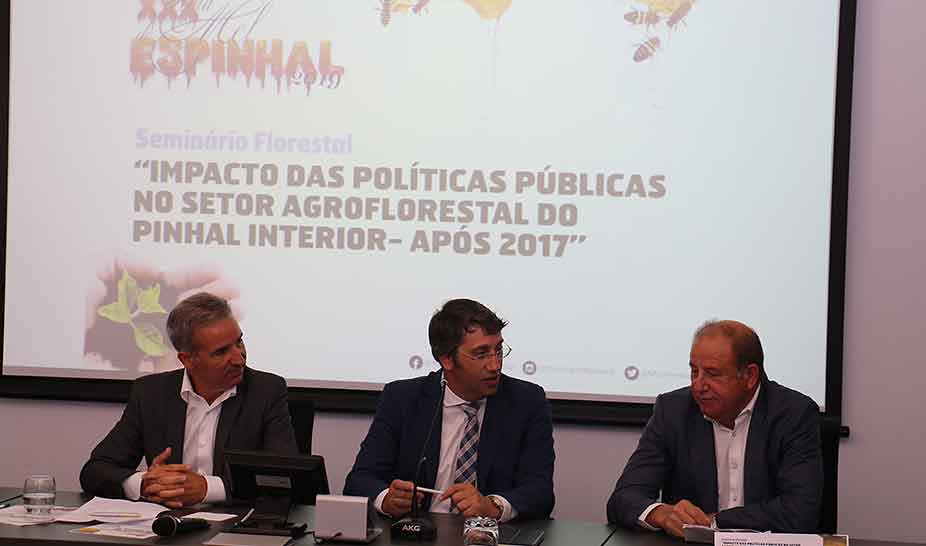 Seminário Florestal. Secretário de Estado realçou a importância da floresta 