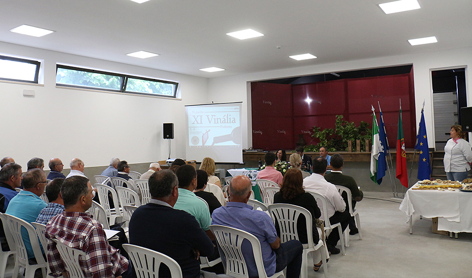 Vinhos do Produtor distinguidos na XI Vinália 