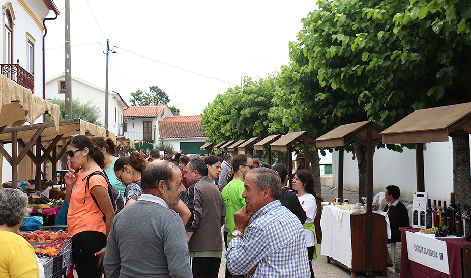 Vinhos do Produtor distinguidos na XI Vinália 