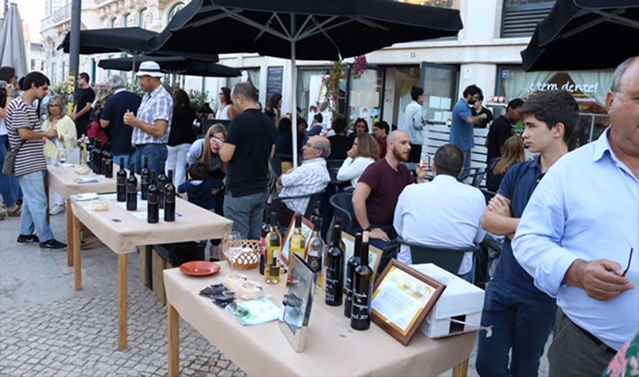 Vinhos Terras de Sicó e Queijo Rabaçal em Lisboa