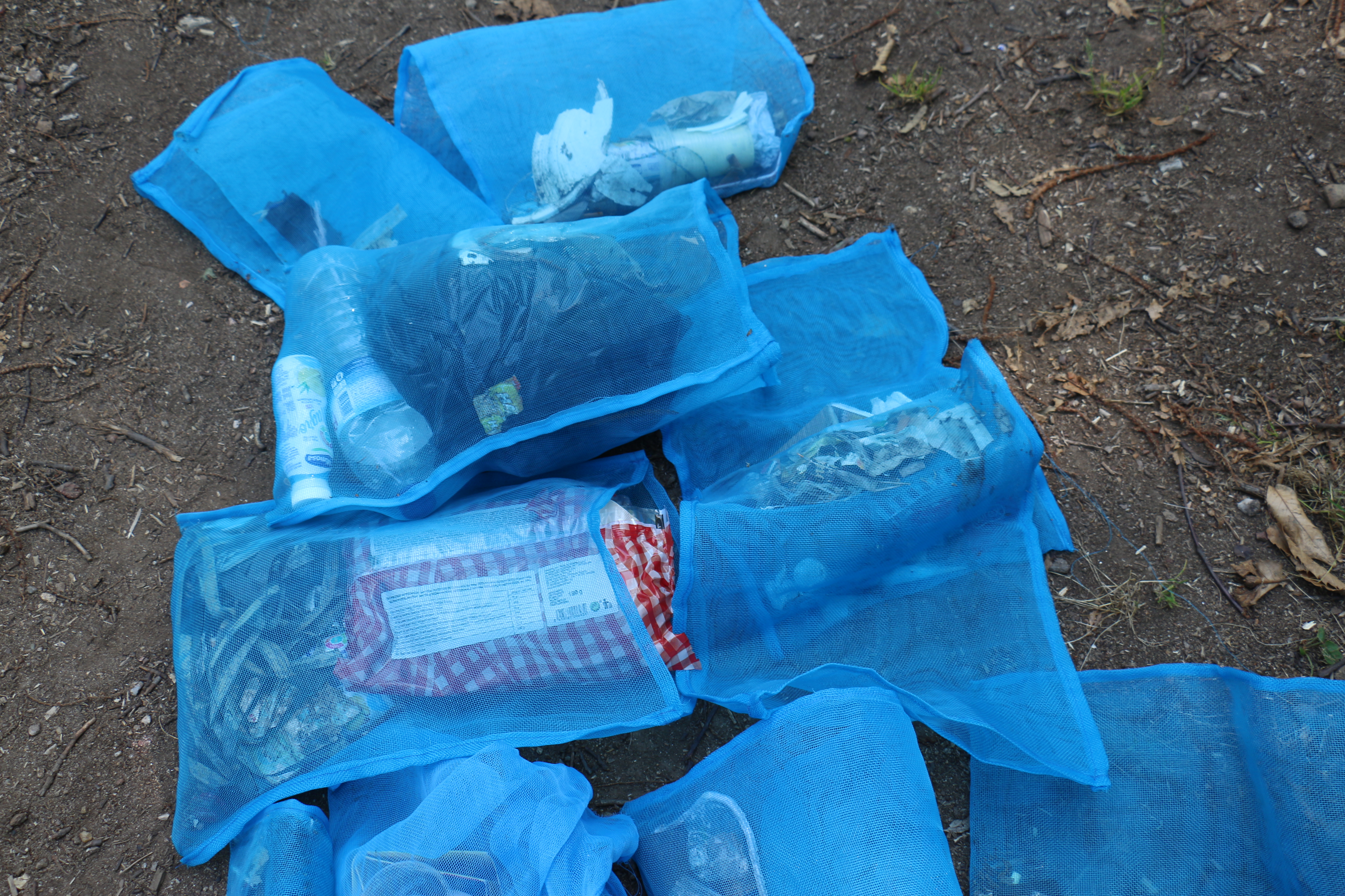 Praia Fluvial da Louçainha recebeu ação de sensibilização ambiental