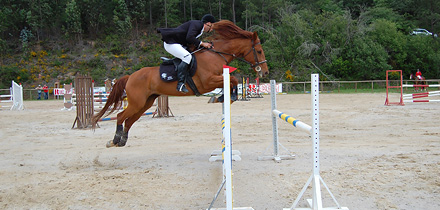 Campeonato Regional Equestre no Espinhal