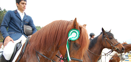 Campeonato Regional Equestre no Espinhal
