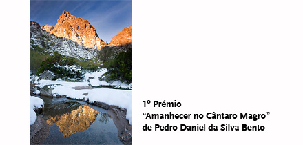 primeiro prémio do concurso de fotografia