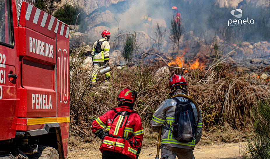 Ações de fogo controlado realizadas em Penela
