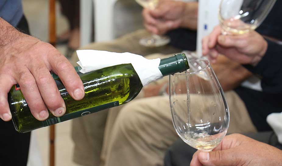 Vinho Terras de Sicó brilharam na X Vinália - o sabor de Podentes