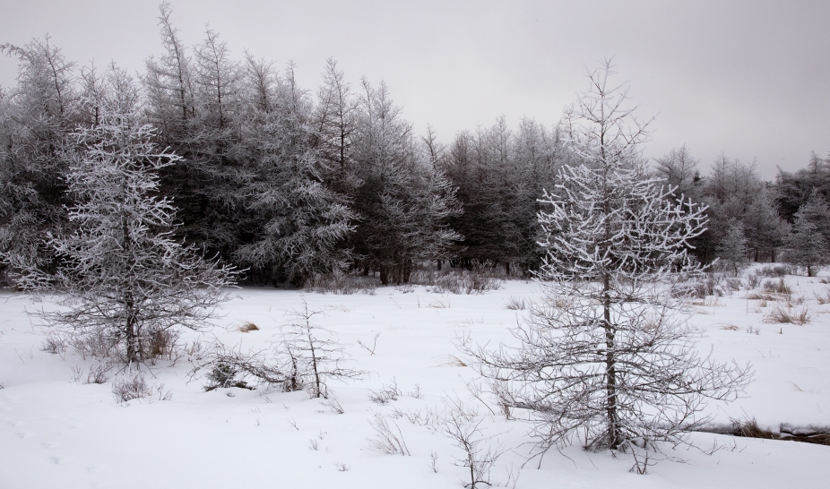 Aviso Amarelo: vaga de muito frio para os próximos dias