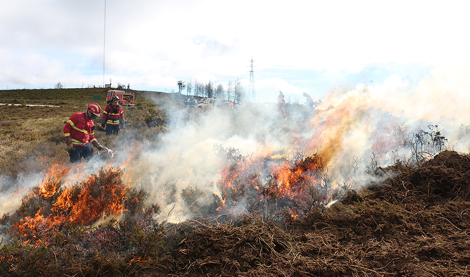 Ação de Fogo Controlado ajuda a prevenir incêndios florestais
