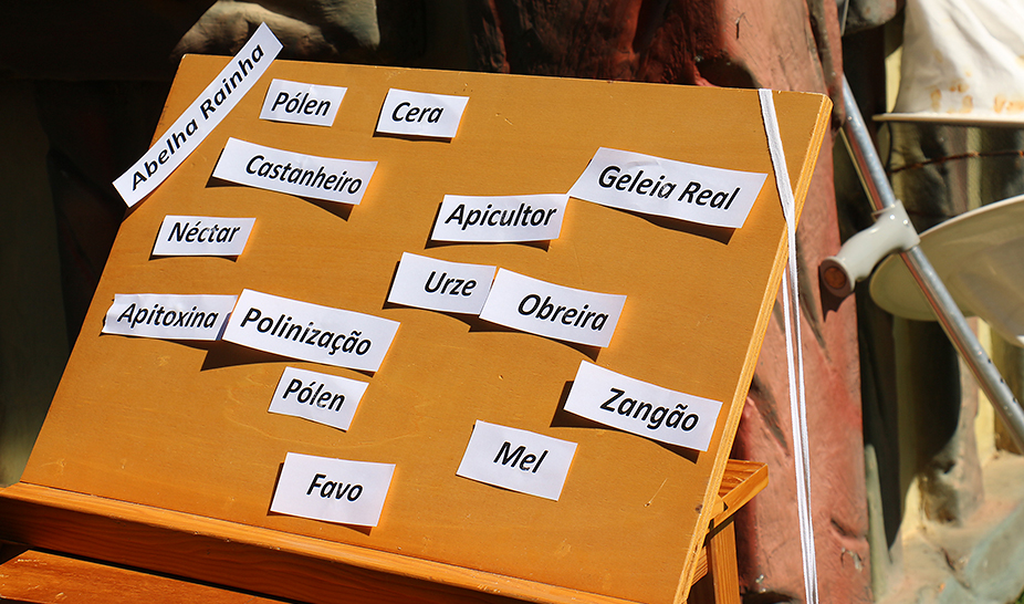 Dia Mundial da Árvore, da Água e da Poesia