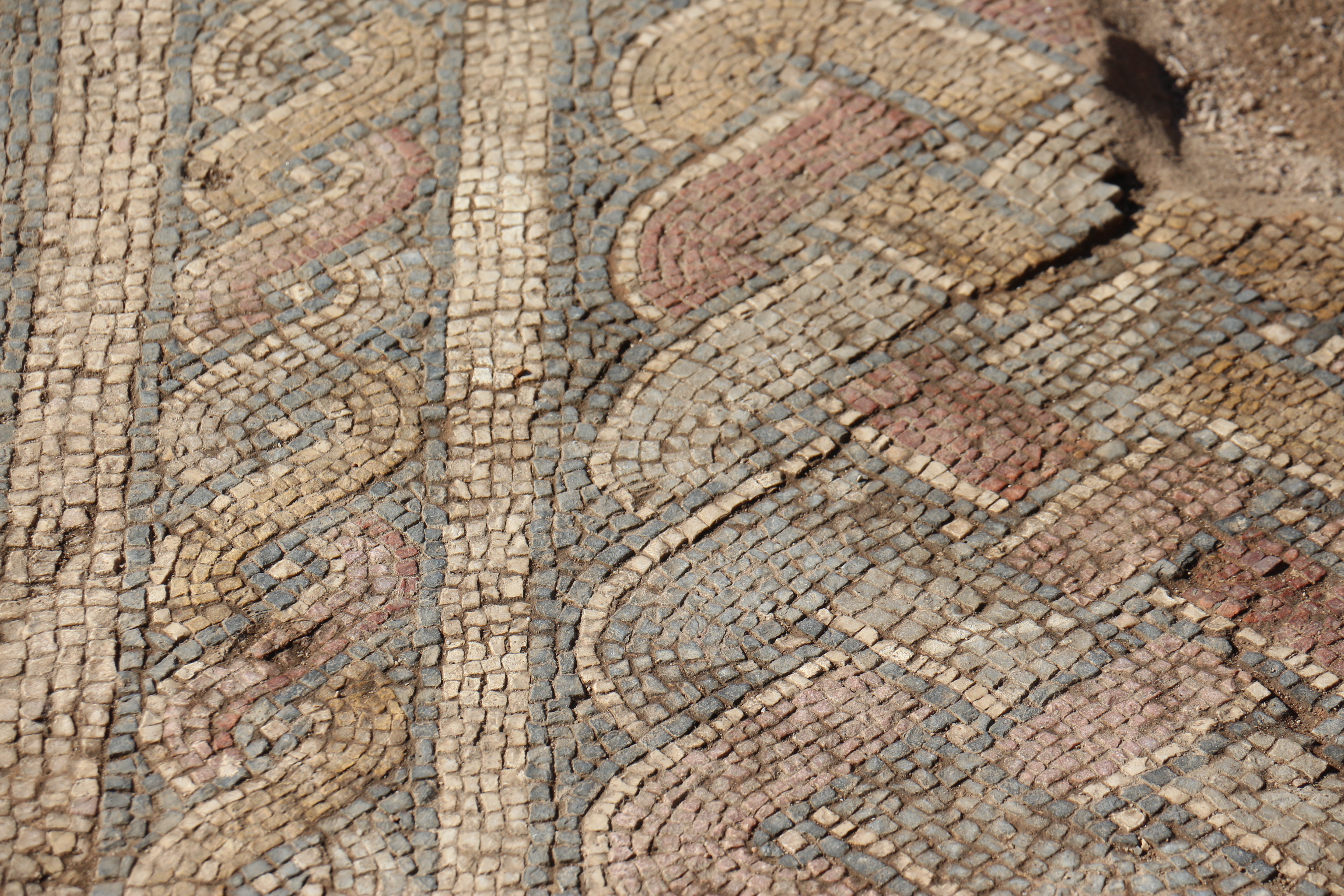 Villa romana de São Simão - Conclusão da Campanha Arqueológica de 2020